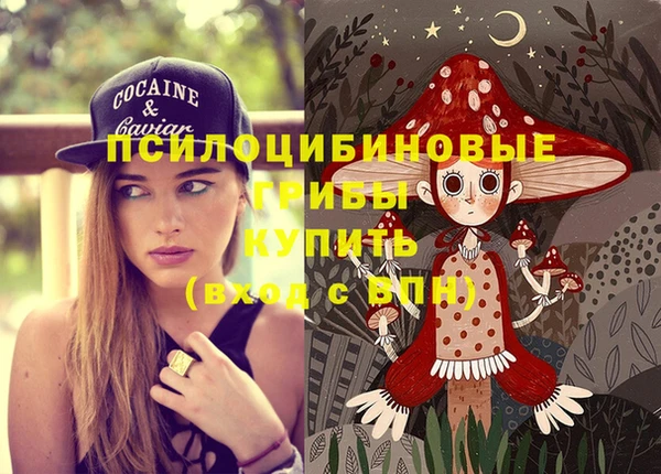 наркотики Снежногорск