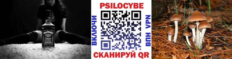 Псилоцибиновые грибы Cubensis  Бутурлиновка 